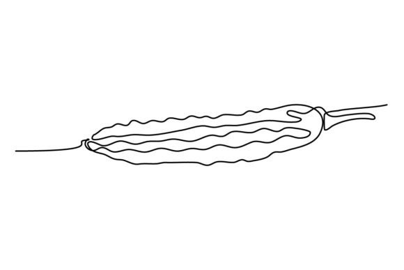 Bitter Gourd One Continuous Line Graphics & Illustrations