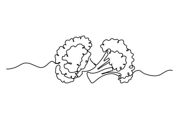 Broccoli One Continuous Line Graphics & Illustrations