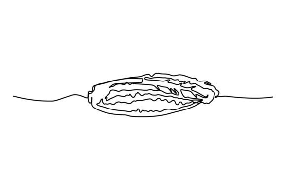 Chinese Cabbage Onion Graphics & Illustrations Review