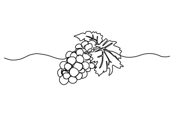 Grape One Continuous Line Graphics & Illustrations