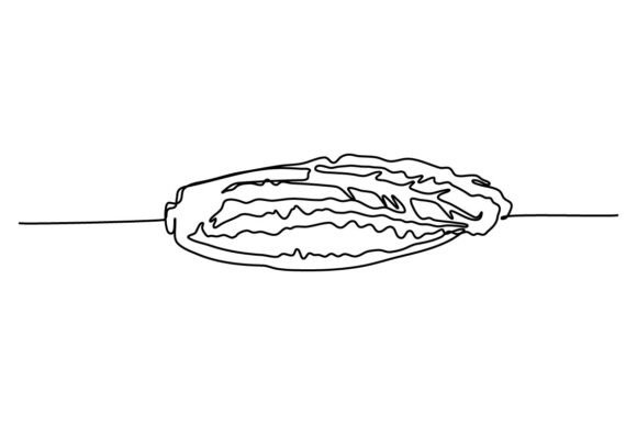 Kimchi One Continuous Line Graphics & Illustrations
