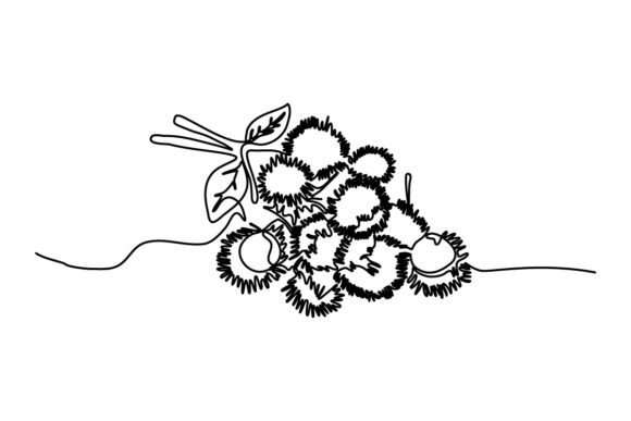 Rambutan One Continuous Line Graphics & Illustrations